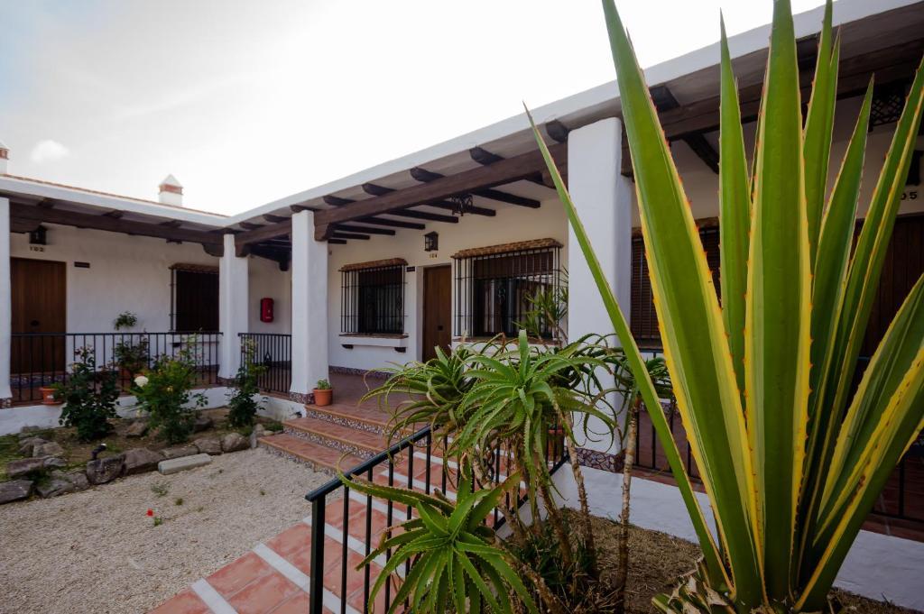 Hacienda Puerto Conil Apartment Conil De La Frontera Bagian luar foto